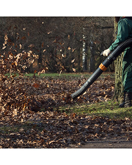 seasonal clean-up